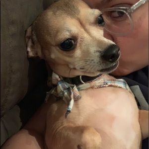 Meet your Posher, Bianca